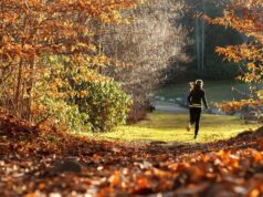 Hogyan vigyázhatunk az egészségünkre? futás